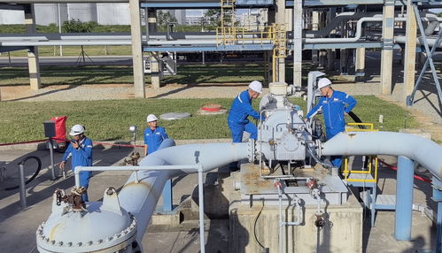 直通國(guó)家管網(wǎng) 廣東石化成品油管輸正式啟運(yùn)，譜寫能源輸送新篇章